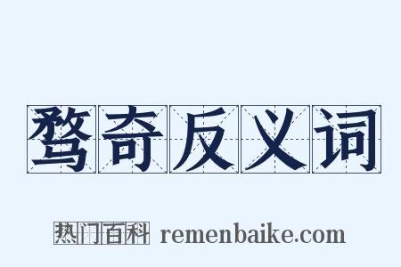 骛奇反义词是什么意思的图片